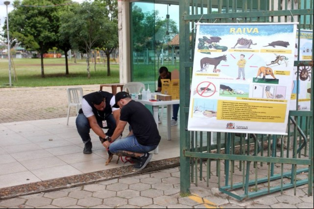 Parque da Cidade recebe vacinação antirrábica gratuita neste domingo (15)